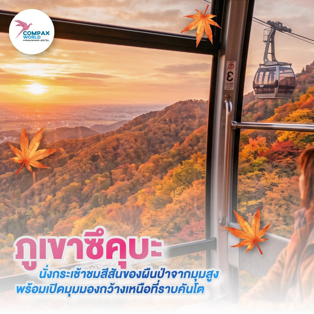 เที่ยวญี่ปุ่น ทัวร์ญี่ปุ่น ทัวร์ญี่ปุ่นพรีเมี่ยม โปรแกรมทัวร์ญี่ปุ่น